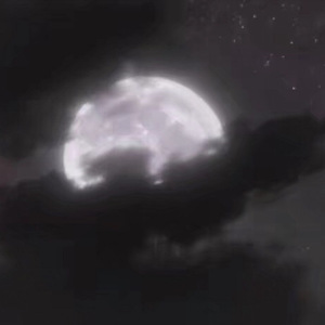 女性向做爱影片
