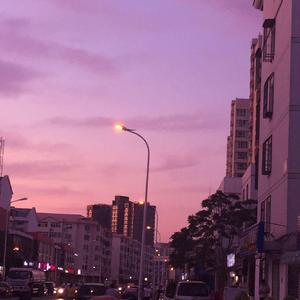 女性向做爱影片
