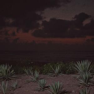 女性向做爱影片
