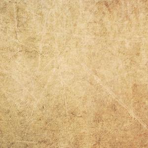 女性向做爱影片
